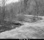 Stream by Dirt Road