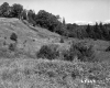 Hills with Plants