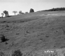 Slope with Grass