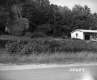 Grass and Plants by House