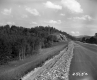 Trees and Rocks by Road
