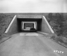 Car Under Bridge