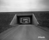 Car Under Bridge