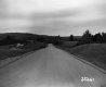 Grass by Paved Road
