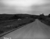 Grass by Paved Road
