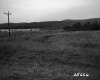 Grass Meadow