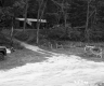Donkey by Driveway