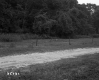 Fence by Dirt Road