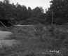 Shed by Forest