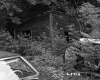 Shed in Trees