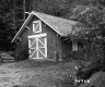 Barn in Woods