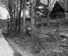 House by Road