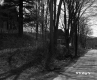 Trees and Houses by Road