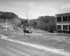 House by Road