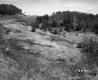 Field by Road