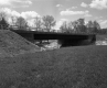 Grass in front of Bridge