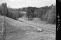 Wooden Fence by Paved Road