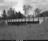 Tall Grass and Bridge