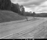 Wood Poles by Road