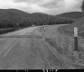 Wood Poles by Road