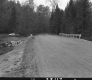 Dirt Road and Trees
