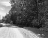 Dirt Road