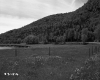 Fenced-In Meadow