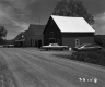 Houses by Dirt Road