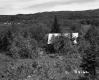 House in Forest