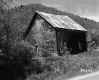 Barn and Grass