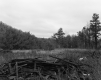 Bernardi Property, Scrap Lumber in Field