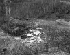 Bernardi Property, Trash Pile in Field