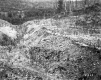 Bernardi Property, Cleared Hilltop