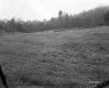 Goodwin Property, Farm Field and Forest