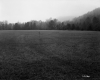 Goodwin Property, Farm Field and Forest
