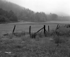 Goodwin Property, Fenced Farm Fields and Forested Hills