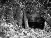 Goodwin Property, Spring