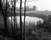 Goodwin Property, Pond and Fenced Farm Fields