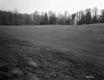 Goodwin Property, Farm Field and Forest