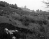 Trottier Property, Cleared Hillside