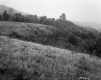 Trottier Property, Rolling Hills