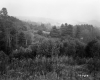 Trottier Property, Rolling Hills