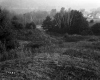 Trottier Property, View toward Farmstead