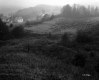 Trottier Property, View toward Farmstead