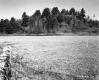 Smith Property, Field and Hill