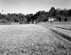 Smith Farmstead