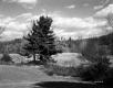 Smith Property, Rolling Farm Fields