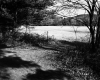 Smith Property, Field and Forest