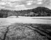 Smith Property, Farm Fields and Forested Hills