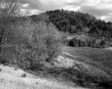 Smith Property, Fields and Forested Hills